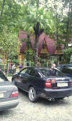 post-1904-0-06089500-1406038549_thumb.jp