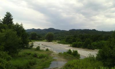 post-1904-0-10782000-1406489788_thumb.jp