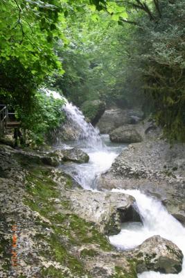 post-1904-0-11804800-1406039279_thumb.jp