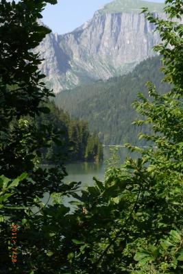 post-1904-0-16679400-1406489301_thumb.jp