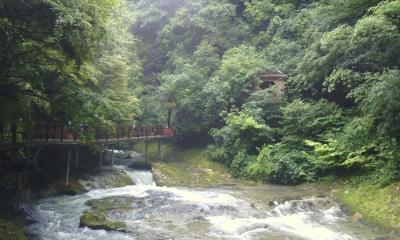 post-1904-0-19014900-1406038657_thumb.jp