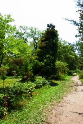 post-1904-0-19181600-1406037932_thumb.jp