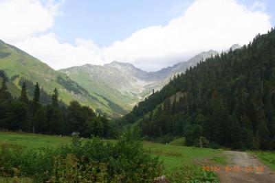 post-1904-0-23611600-1406034622_thumb.jp