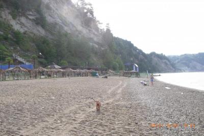 post-1904-0-25687700-1406030030_thumb.jp