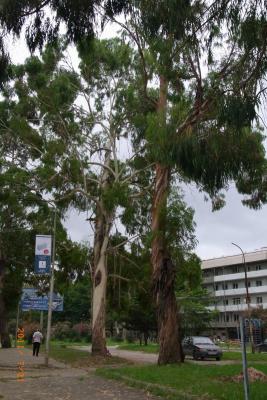 post-1904-0-32719300-1406489373_thumb.jp