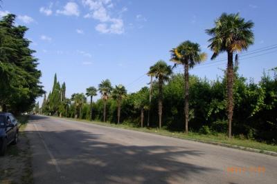 post-1904-0-35575200-1406489255_thumb.jp