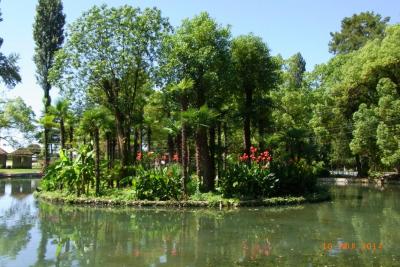 post-1904-0-44827500-1406036409_thumb.jp