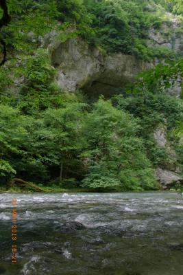 post-1904-0-46960900-1406489576_thumb.jp