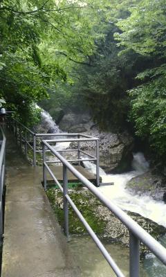 post-1904-0-48942600-1406038691_thumb.jp