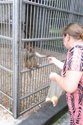 post-1904-0-54288500-1406037507_thumb.jp