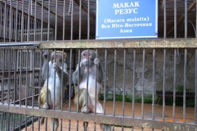 post-1904-0-61936900-1406037437_thumb.jp