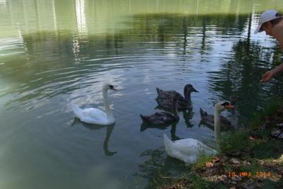 post-1904-0-66007400-1406036492_thumb.jp