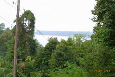 post-1904-0-72015200-1406489446_thumb.jp