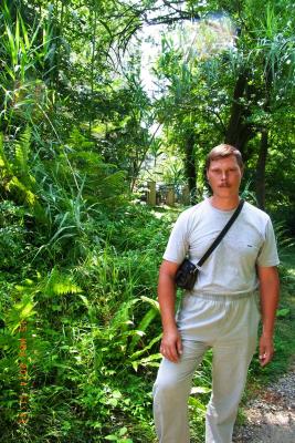 post-1904-0-72416300-1406037855_thumb.jp