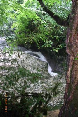 post-1904-0-72623100-1406039246_thumb.jp