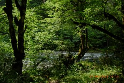 post-1904-0-75437400-1406489561_thumb.jp