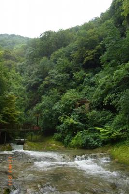 post-1904-0-76765600-1406038964_thumb.jp