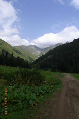 post-1904-0-80328400-1406034590_thumb.jp