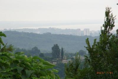 post-1904-0-81732200-1406489332_thumb.jp