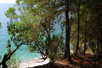 post-1904-0-83922100-1406032091_thumb.jp