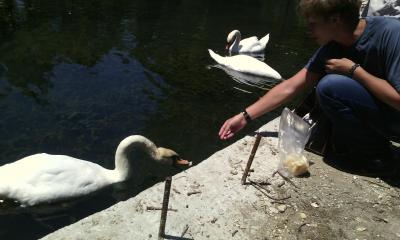 post-1904-0-95769700-1406036364_thumb.jp