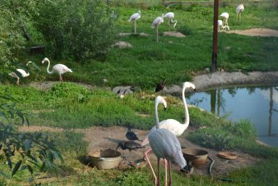 post-318-020488700 1312388934_thumb.jpg