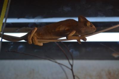 post-318-036189800 1312389071_thumb.jpg