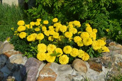 post-318-053417100 1312388807_thumb.jpg