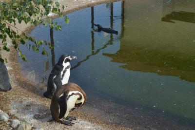 post-318-067040100 1312388860_thumb.jpg