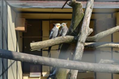 post-318-068722100 1312389011_thumb.jpg