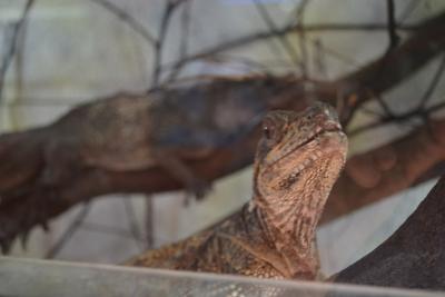 post-318-071537600 1312388909_thumb.jpg