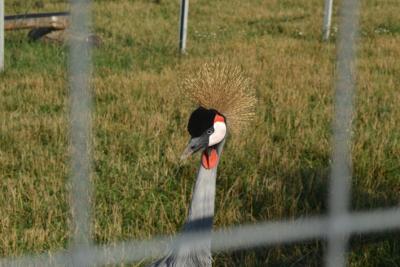 post-318-076362000 1312388990_thumb.jpg