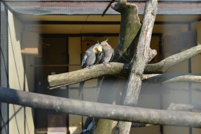 post-318-079700400 1312388783_thumb.jpg