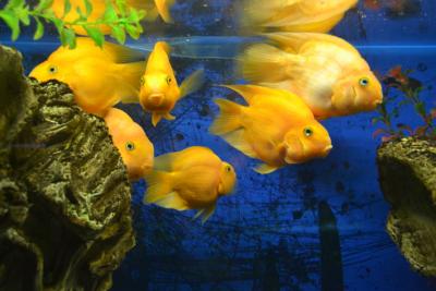 post-318-079966300 1312388753_thumb.jpg