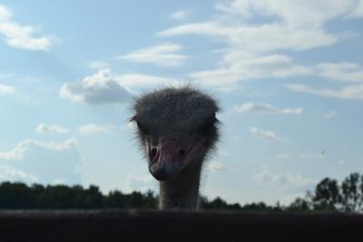 post-318-081851600 1312389033_thumb.jpg