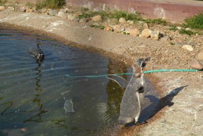 post-318-098663900 1312388845_thumb.jpg