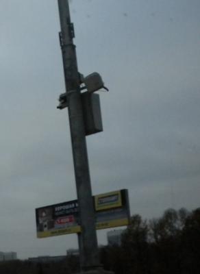 post-1385-0-94191600-1351012290_thumb.jp