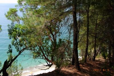 post-1904-0-10721500-1382817526_thumb.jp