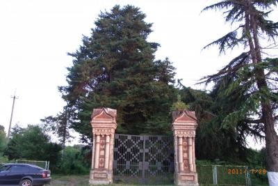 post-1904-0-33651000-1382817344_thumb.jp