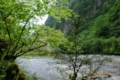 post-1904-0-54413500-1382817743_thumb.jp