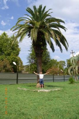 post-1904-0-64151200-1382817662_thumb.jp