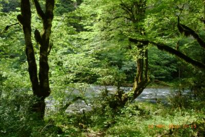 post-1904-0-65578500-1382817714_thumb.jp