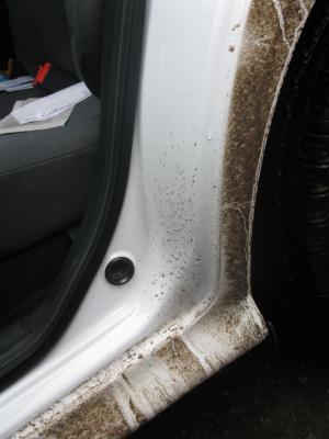 post-210-004650000 1290356717_thumb.jpg