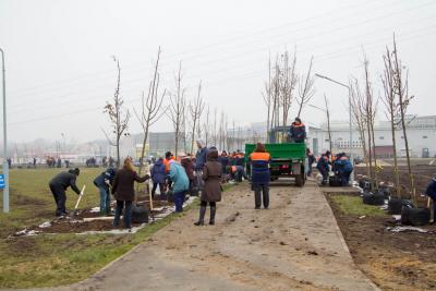 post-1985-0-24629600-1415273697_thumb.jp