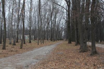 post-1985-0-28809300-1416381236_thumb.jp