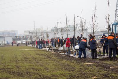 post-1985-0-43388800-1415273695_thumb.jp