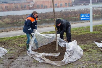 post-1985-0-75104500-1415273696_thumb.jp