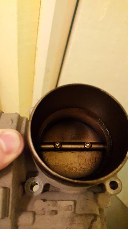 JzJtuMSlHu0.thumb.jpg.c84ffb7f2c465d2006