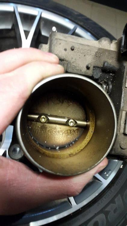 569e53b21dae4_Yeti12.thumb.jpg.13e88b61d