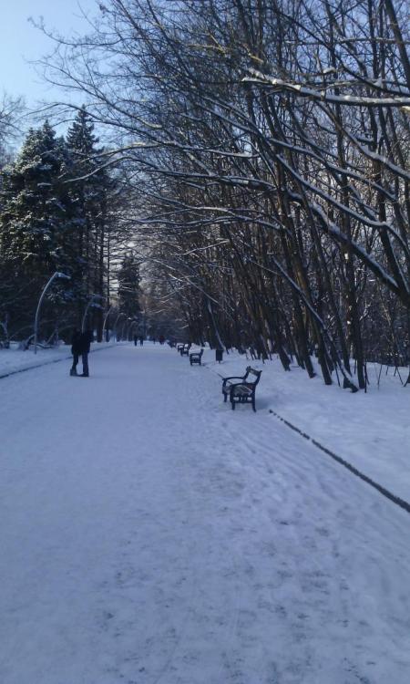 IMG_20160107_130406.thumb.jpg.4461a093b7